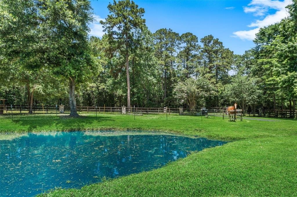 House in Willis, Texas, United States 5 - 18451043