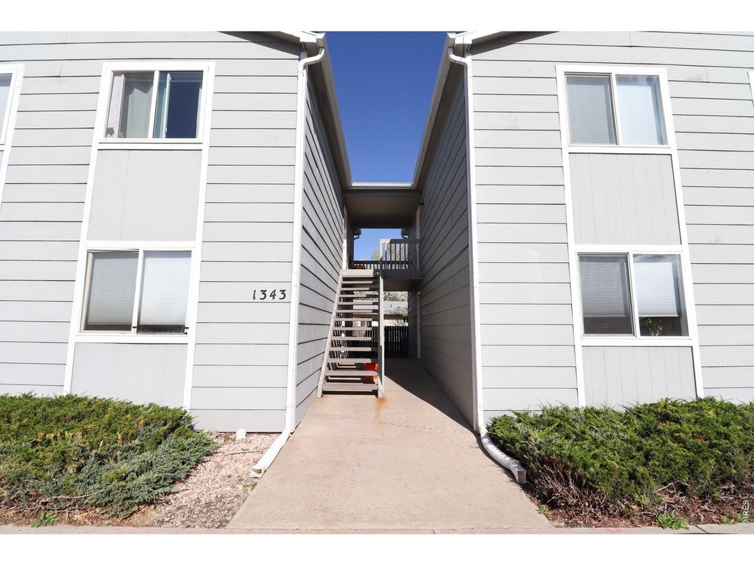 Fort Collins, Colorado, United States 2 - 18449129