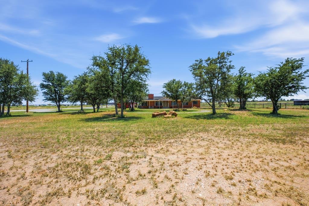 House in Midland, Texas, United States 3 - 18416169