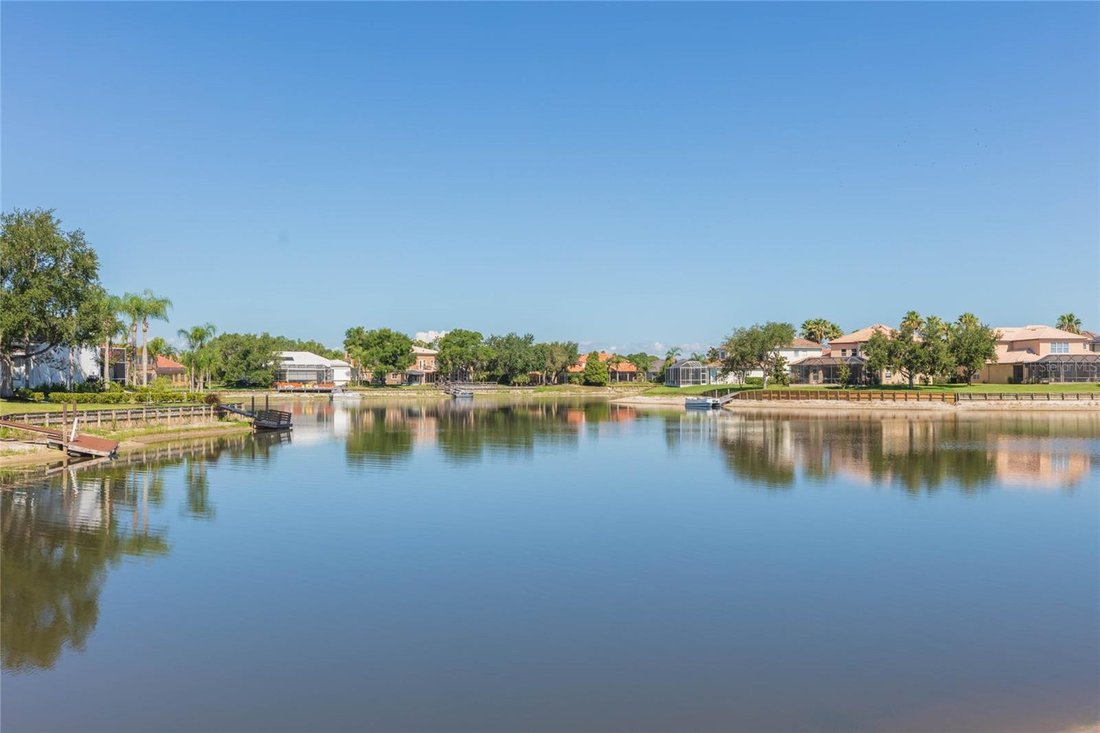 House in Tampa, Florida, United States 2 - 18446505