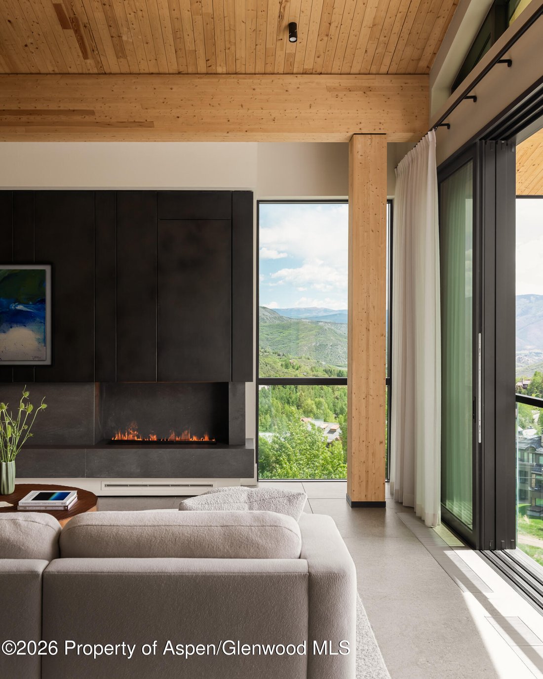House in Snowmass Village, Colorado, United States 3 - 18451388
