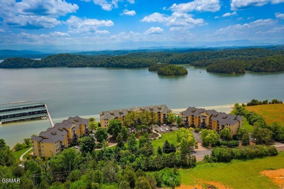 Condo in Sevierville, Tennessee, United States 5 - 18446999