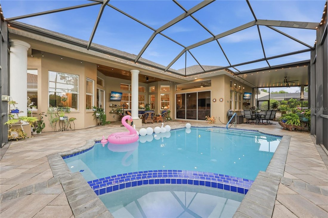 House in Land O' Lakes, Florida, United States 4 - 18447209