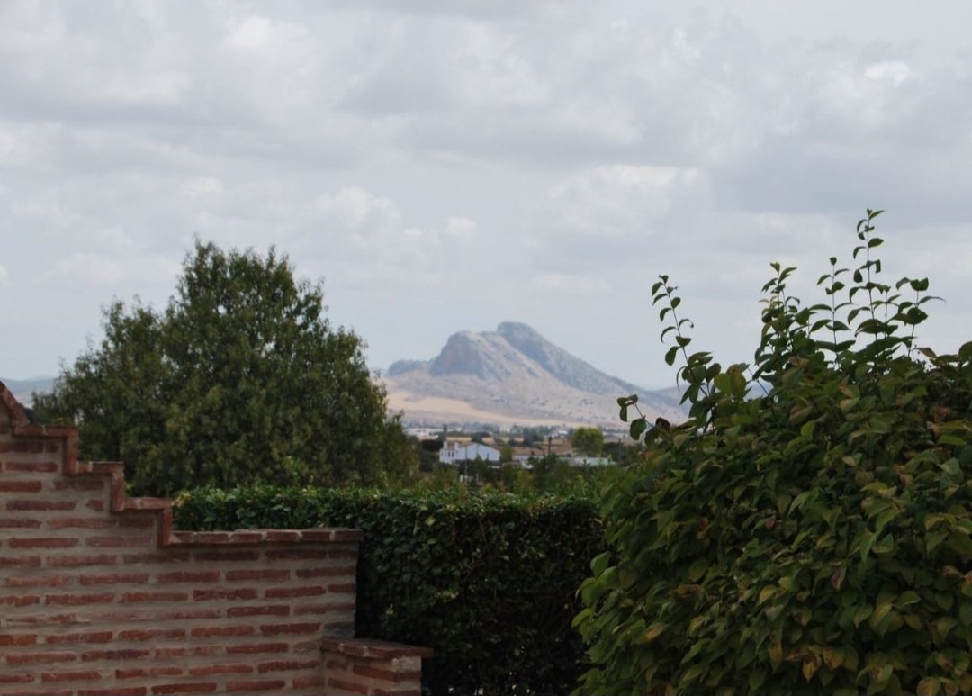 Villa in Antequera, Andalusia, Spain 5 - 18451439