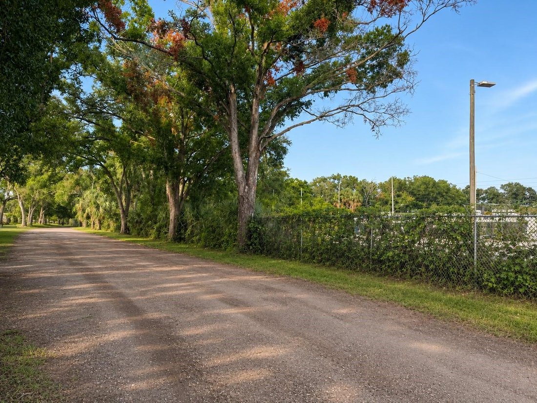 House in Tampa, Florida, United States 1 - 18446478
