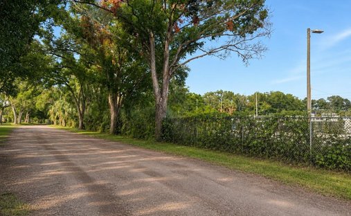 House in Tampa, Florida, United States 1