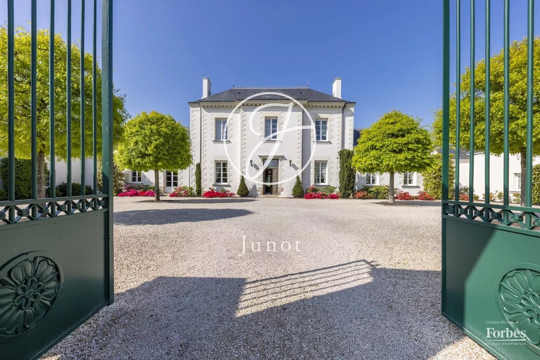 House in Sud, Les Sorinieres, France 1 - 18448237