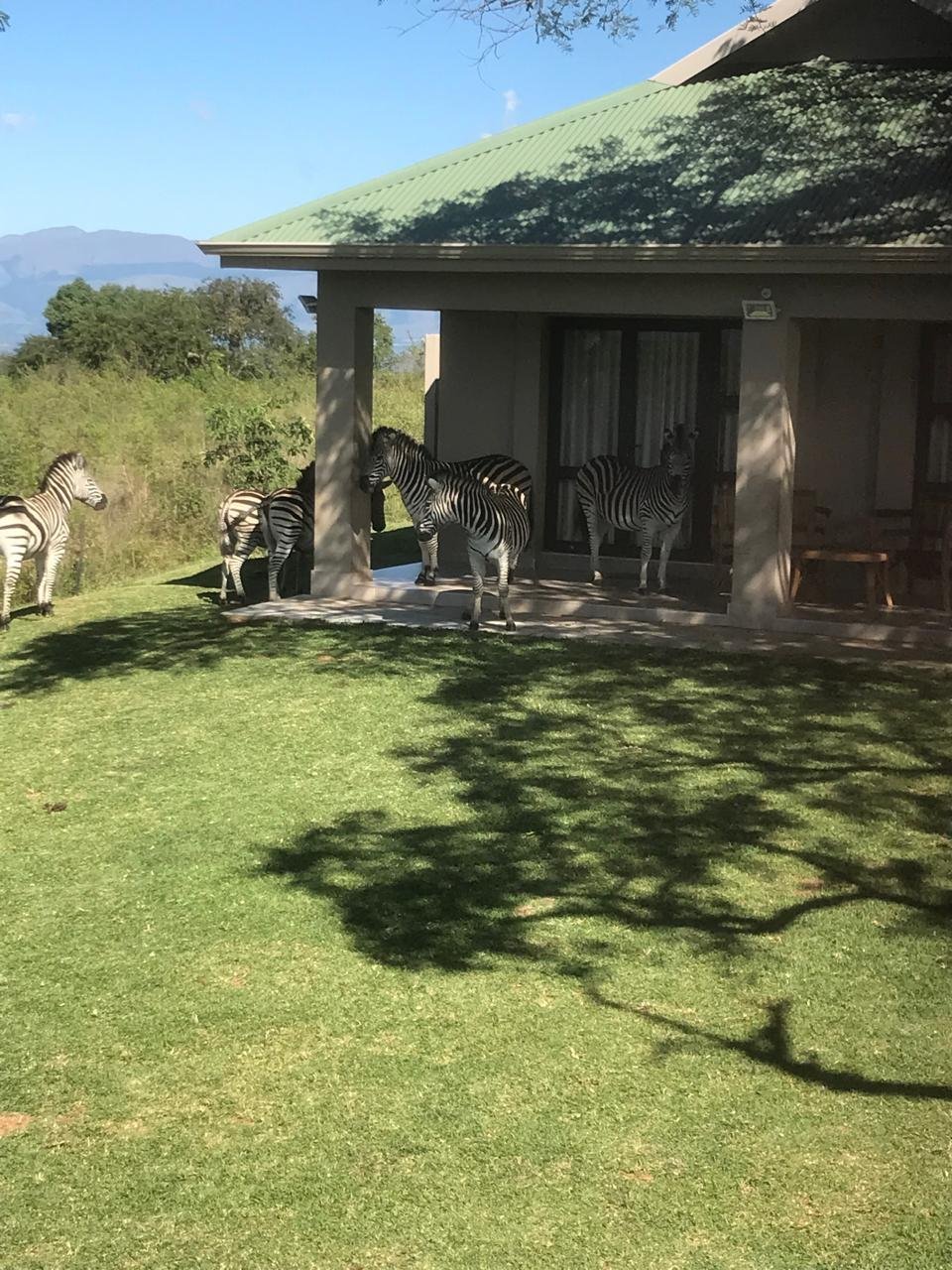 House in Barberton, Mpumalanga, South Africa 2 - 18447220