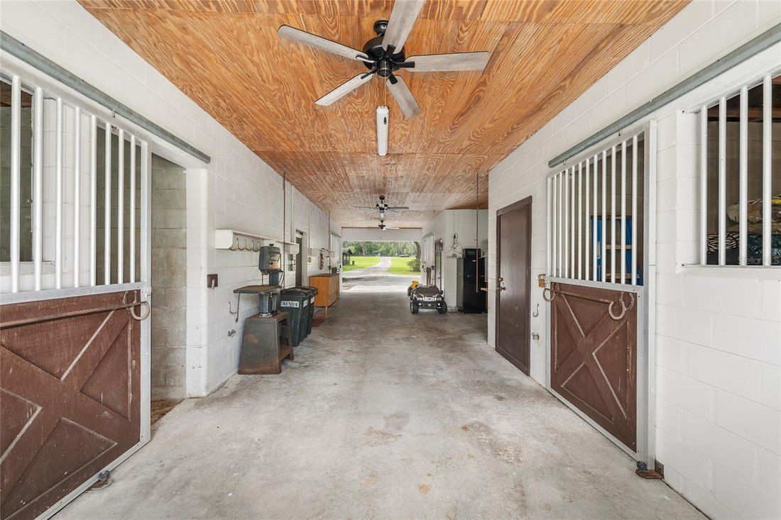 House in Morriston, Florida, United States 1 - 18446475