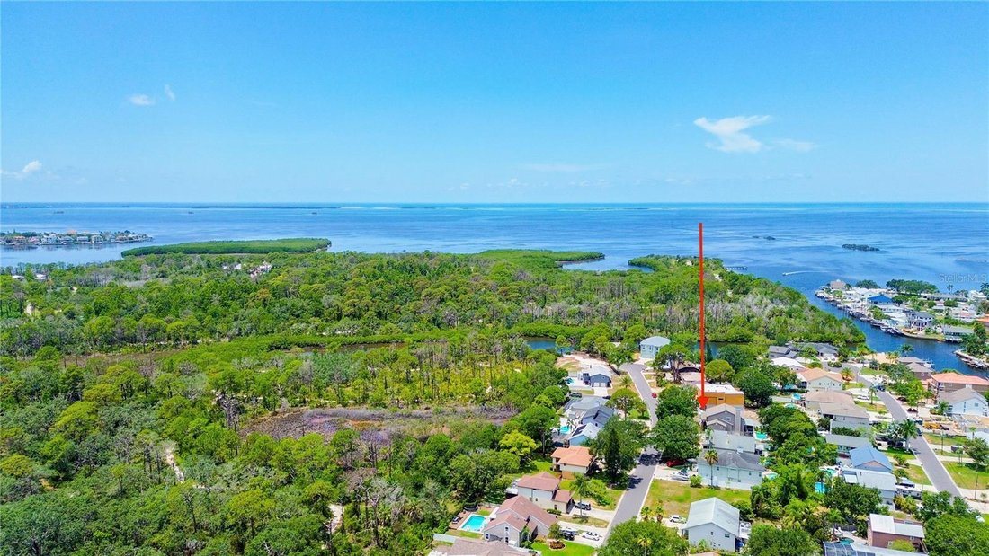 House in Palm Harbor, Florida, United States 1 - 18450893