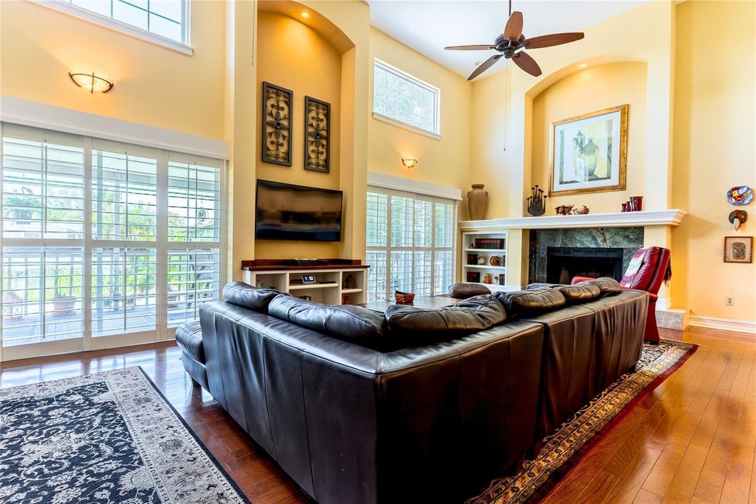House in Palm Harbor, Florida, United States 3 - 18450893