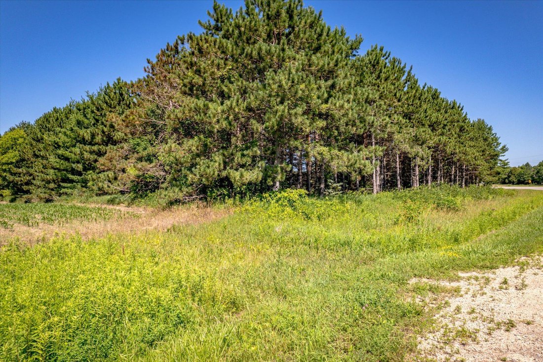 Land in Nowthen, Minnesota, United States 4 - 18450757