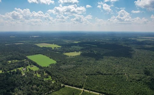 Land in Quincy, Florida, United States 1