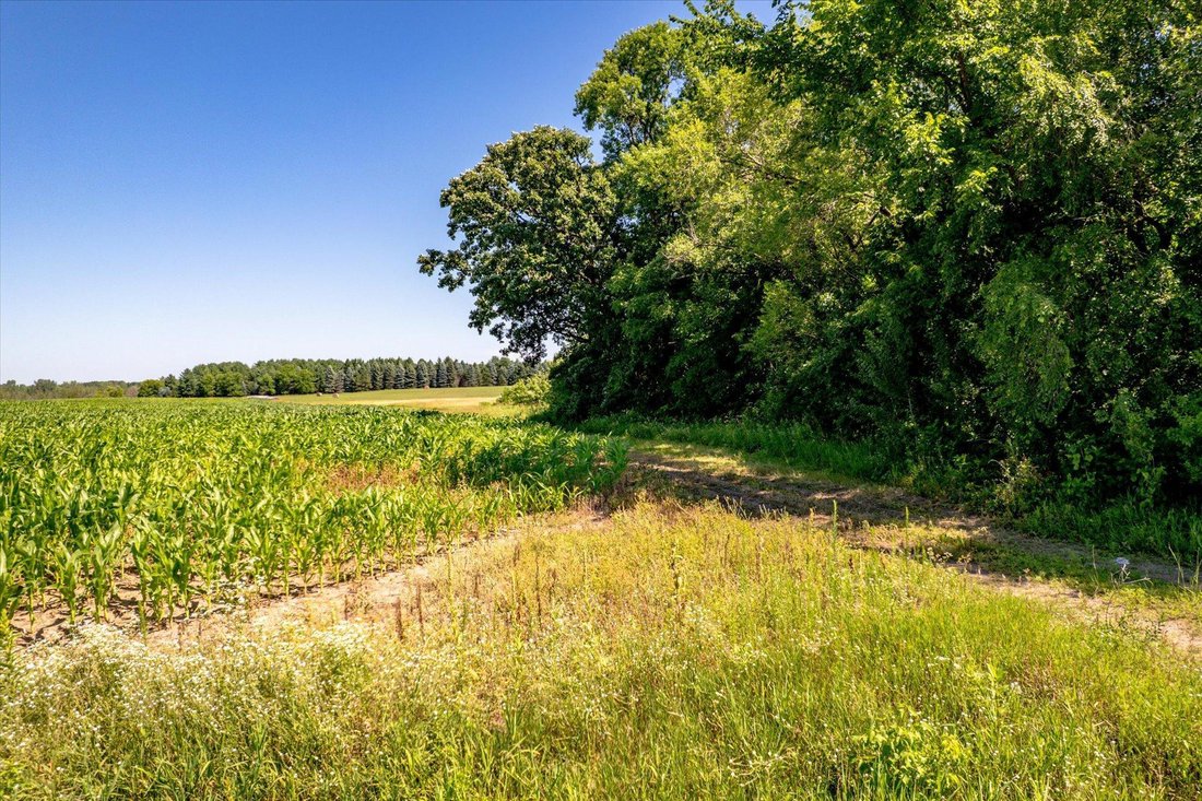 Land in Nowthen, Minnesota, United States 5 - 18450757