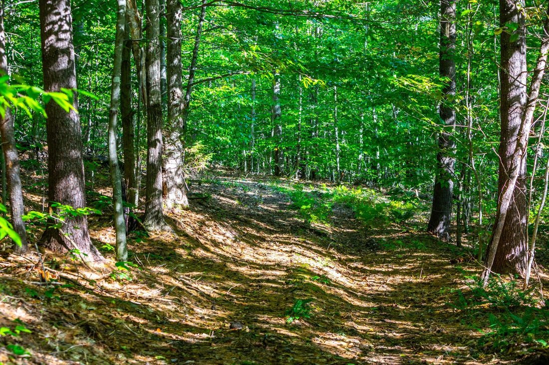 Land in Woodstock, Vermont, United States 2 - 18452381