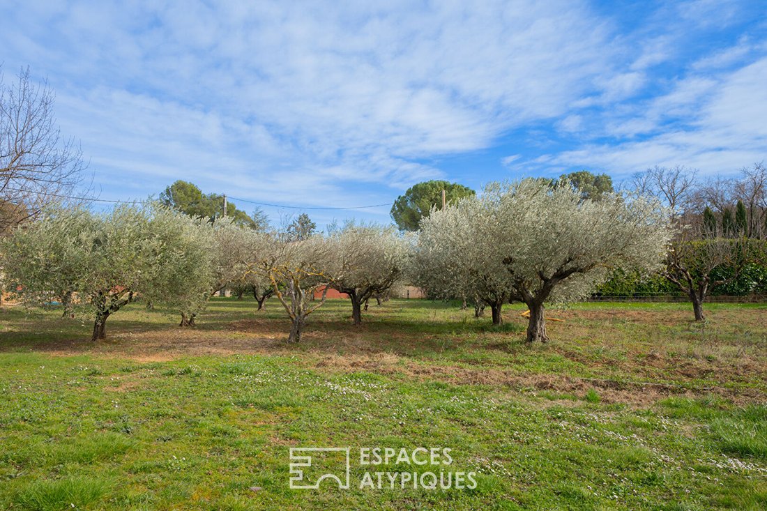 Villa in Salernes, Provence-Alpes-Côte d'Azur, France 1 - 18451982