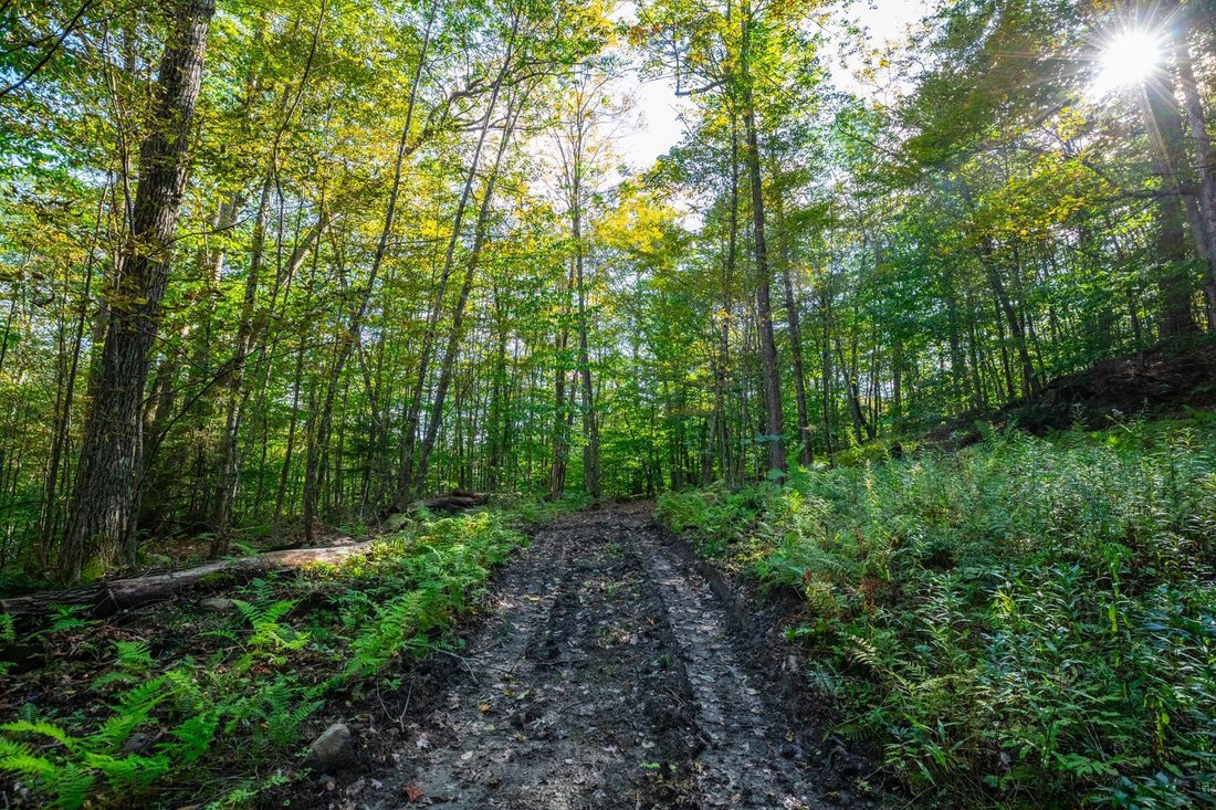 Land in Woodstock, Vermont, United States 1 - 18452381