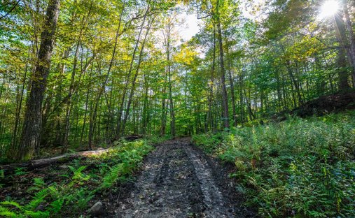 Terreno a Woodstock, Vermont, Stati Uniti 1