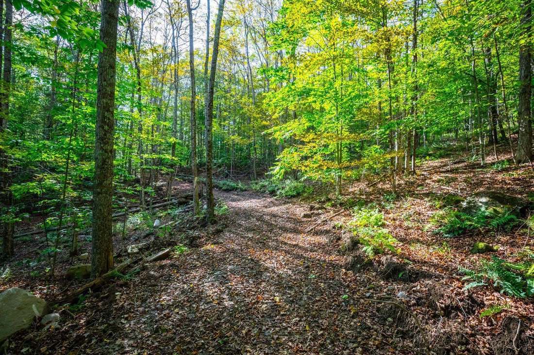 Land in Woodstock, Vermont, United States 5 - 18452381