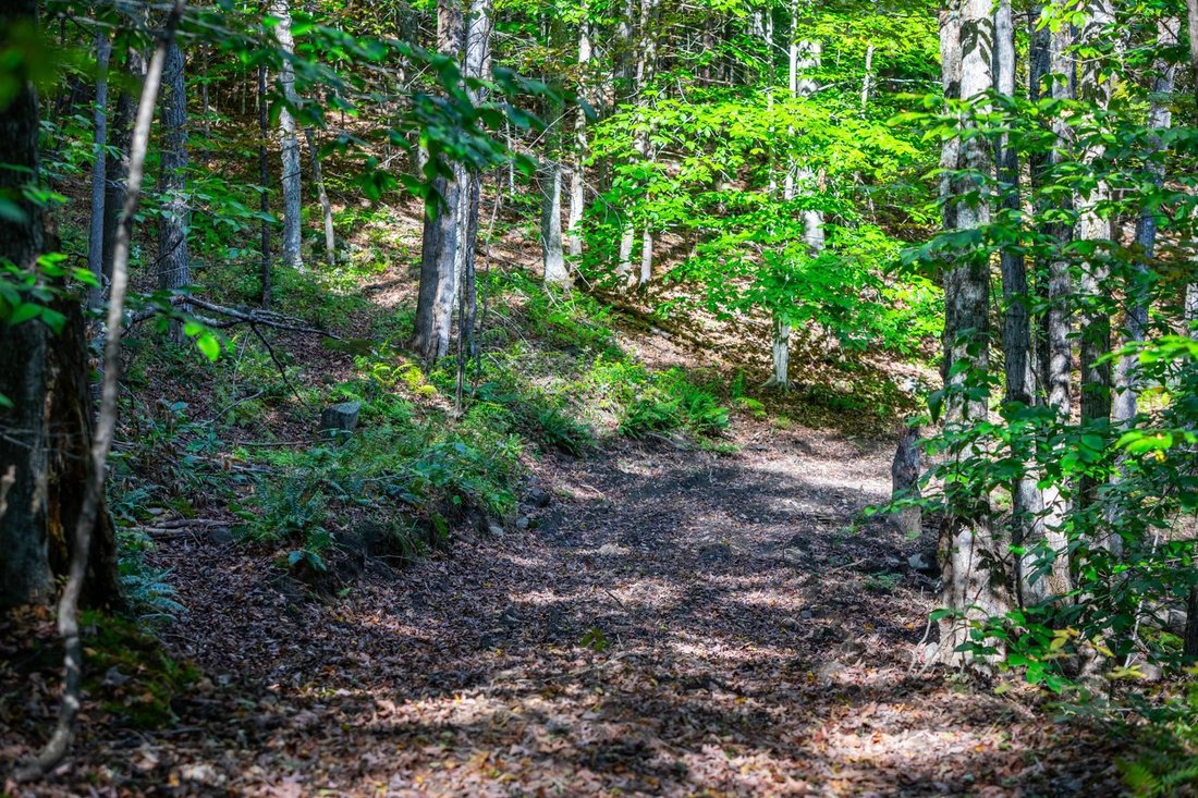 Land in Woodstock, Vermont, United States 3 - 18452381