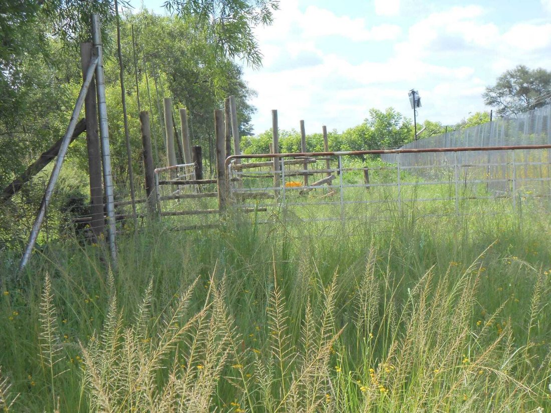 Farm Ranch in Groot Marico, North West, South Africa 5 - 18452024