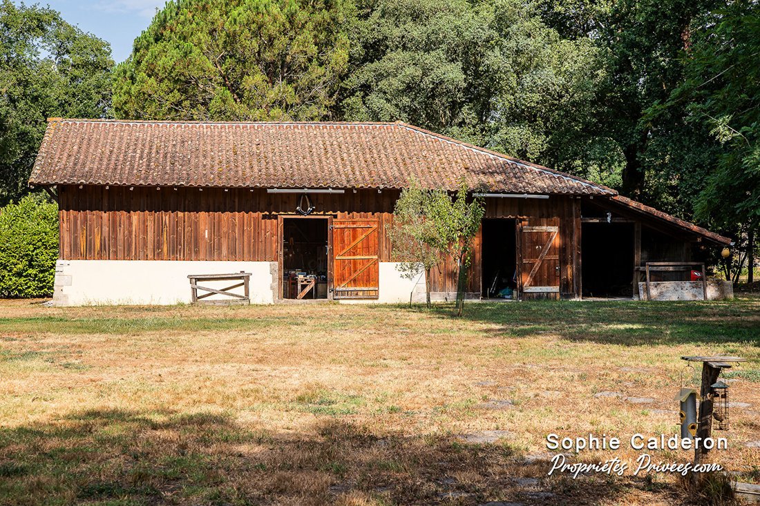 Villa in Castets, Nouvelle-Aquitaine, France 3 - 18451976