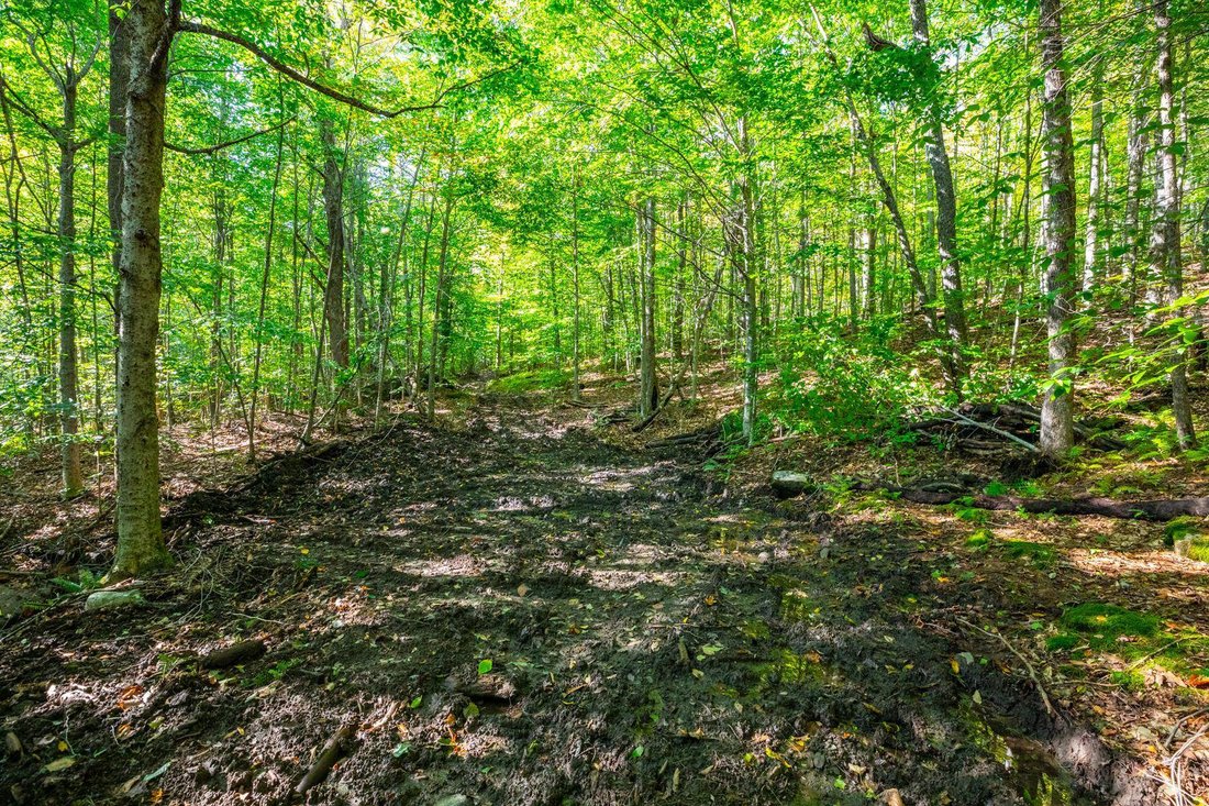 Land in Woodstock, Vermont, United States 4 - 18452381