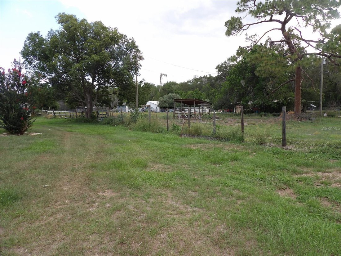 House in Spring Hill, Florida, United States 2 - 18453045