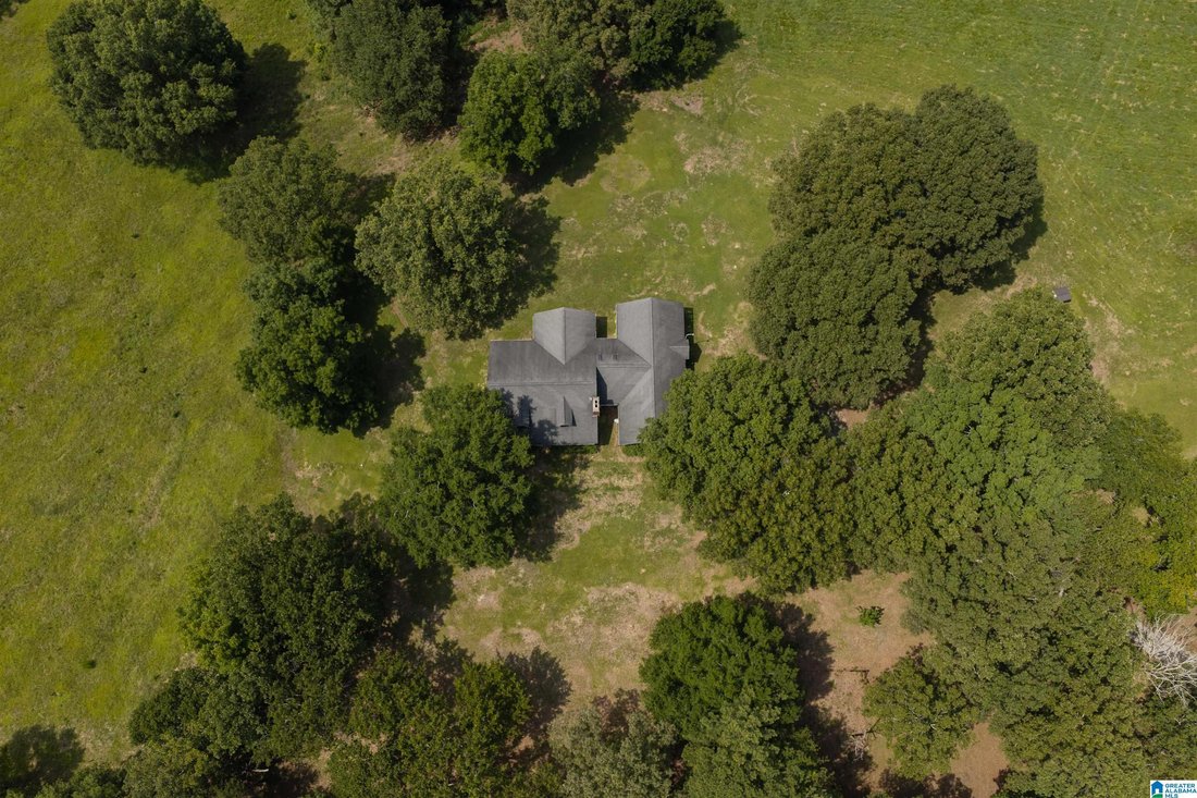House in Talladega, Alabama, United States 2 - 18453080