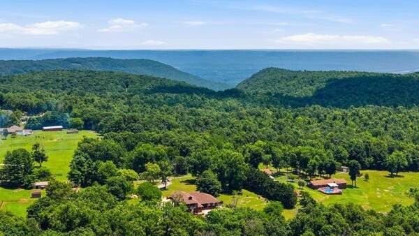 House in South Pittsburg, Tennessee, United States 5 - 18453290