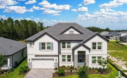 Maison à Wesley Chapel, Floride, États-Unis 1
