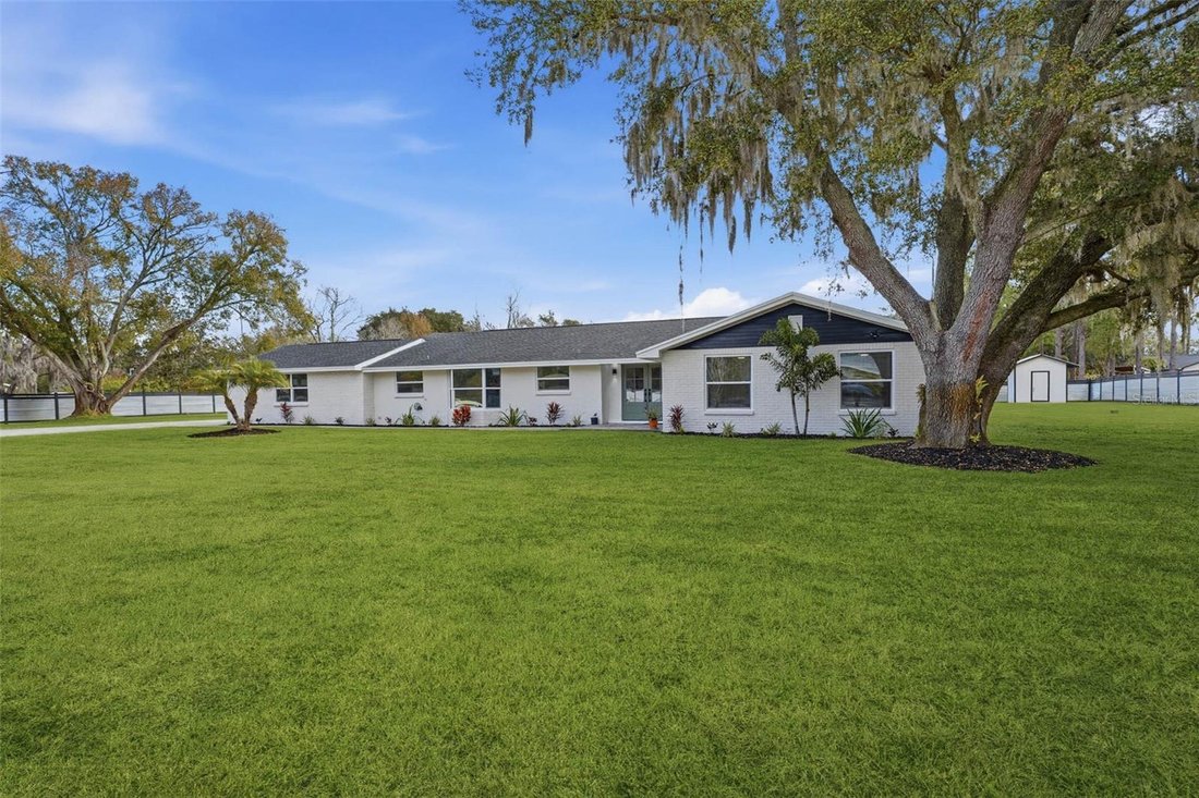 House in Land O' Lakes, Florida, United States 4 - 18453015