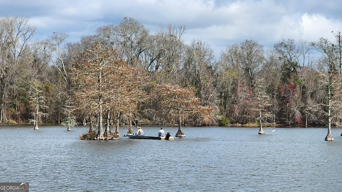 Farm Ranch in Hartford, Alabama, United States 5 - 18453435