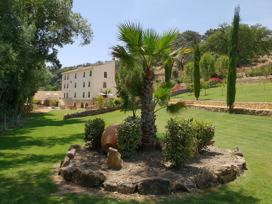 Finca in Setenil de las Bodegas, Andalusia, Spain 4 - 18454446