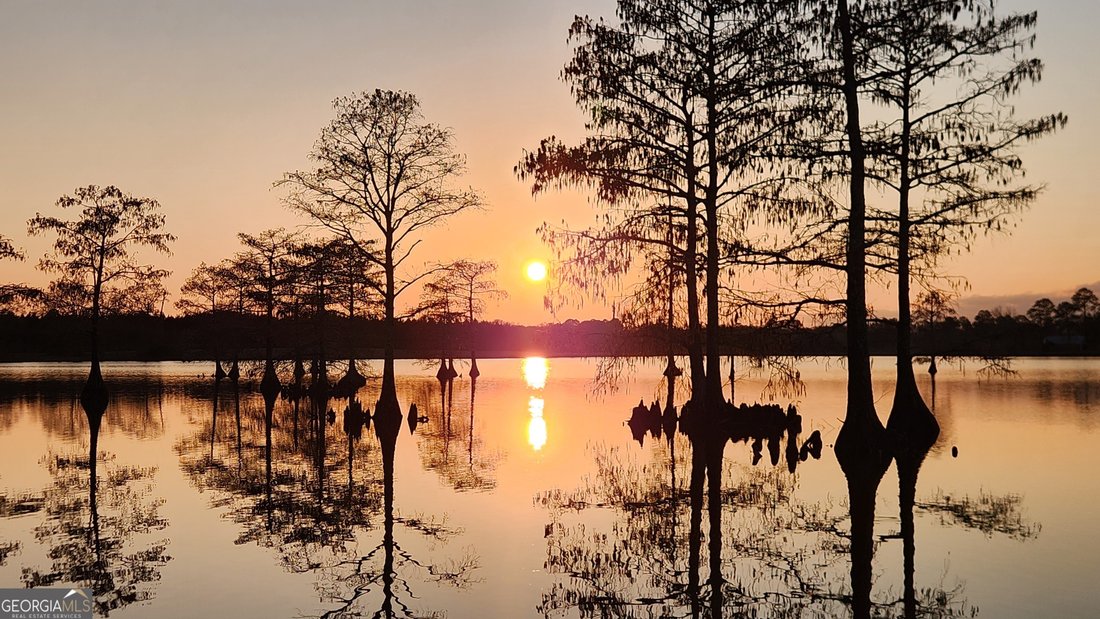 Farm Ranch in Hartford, Alabama, United States 2 - 18453435