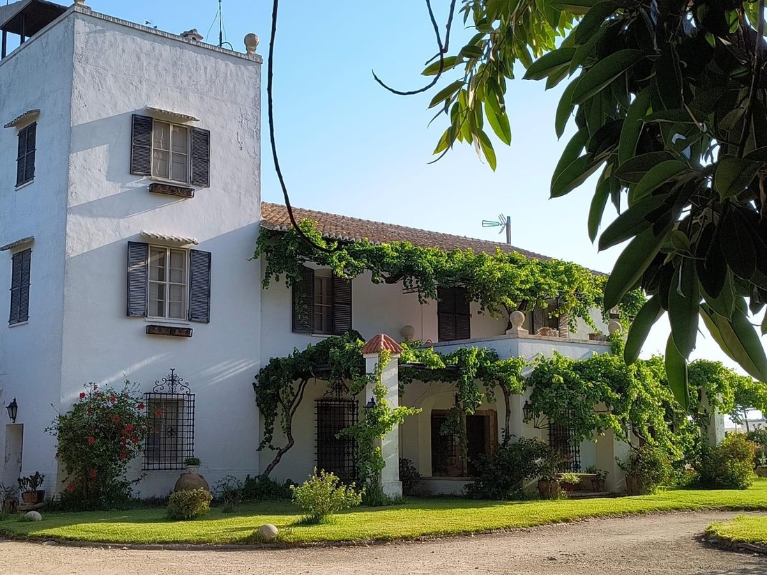 Finca in Cullera, Valencian Community, Spain 5 - 18454026