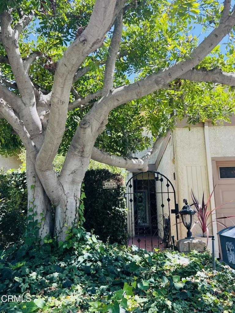 Condo in Camarillo, California, United States 3 - 18453790