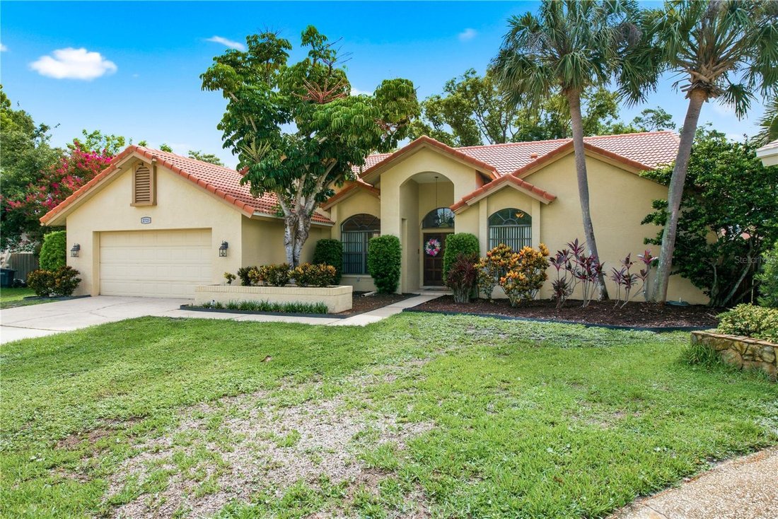 House in Clearwater, Florida, United States 3 - 18453882