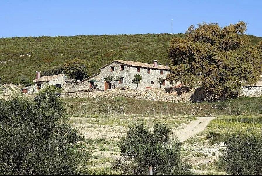 Finca in Enguera, Valencian Community, Spain 2 - 18454241
