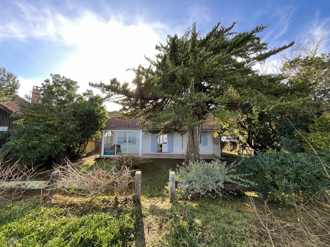 Villa in Centre Cap Ferret, Lège-Cap-Ferret, France 4 - 18453545