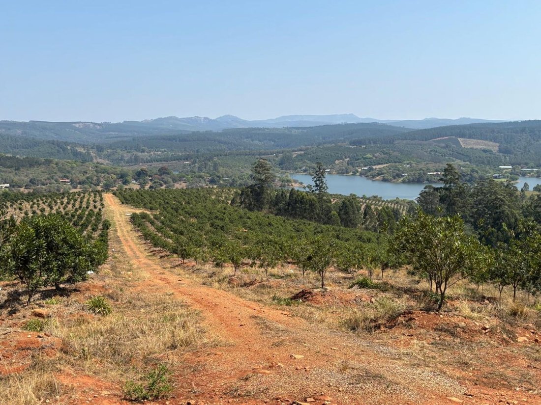 Farm Ranch in Jerusalem, Mpumalanga, South Africa 1 - 18453831