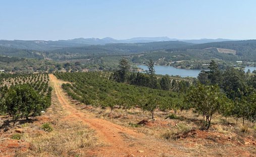 Farm Ranch in Jerusalem, Mpumalanga, South Africa 1
