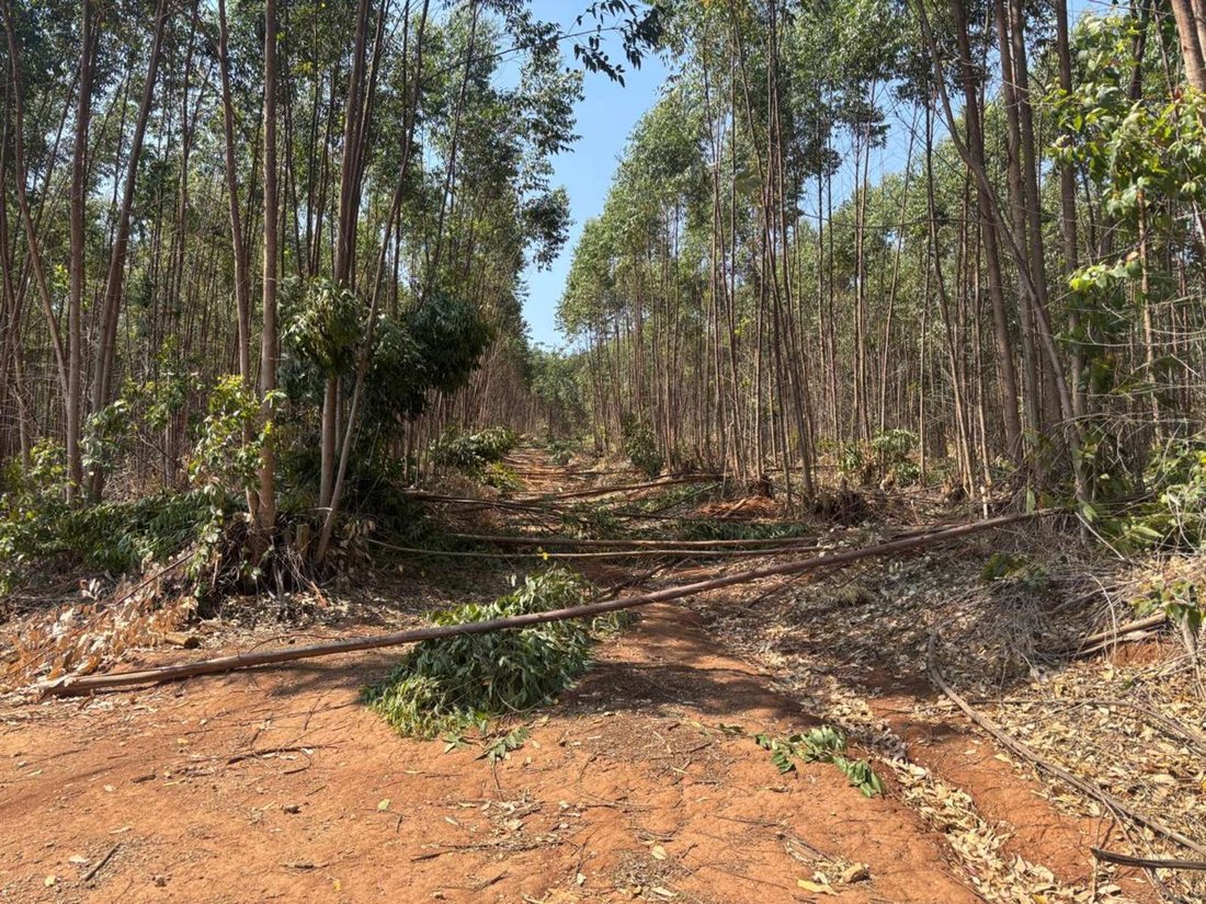 Farm Ranch in Jerusalem, Mpumalanga, South Africa 4 - 18453831