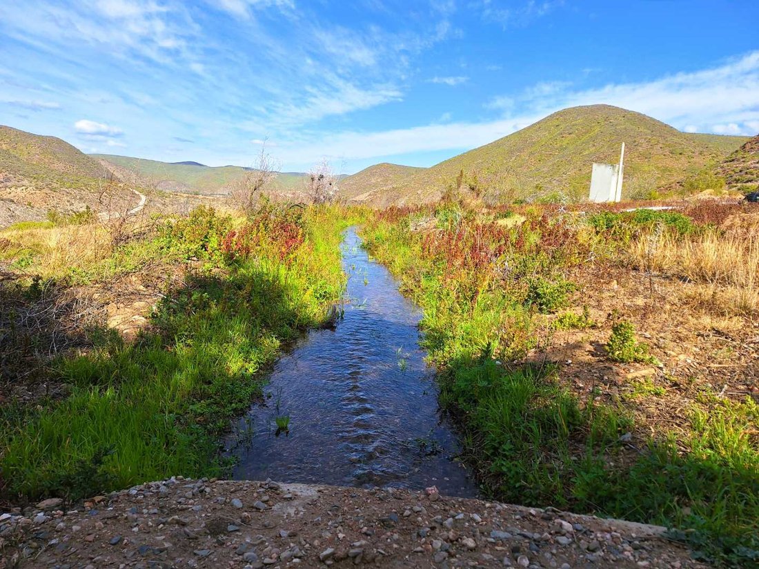 Farm Ranch in Calitzdorp, Western Cape, South Africa 4 - 18453650