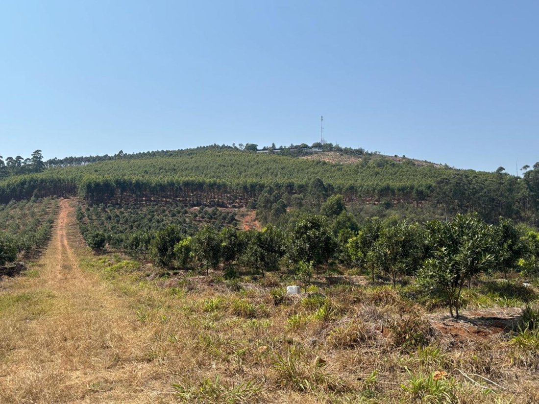 Farm Ranch in Jerusalem, Mpumalanga, South Africa 2 - 18453831