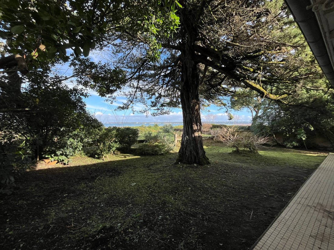 Villa in Centre Cap Ferret, Lège-Cap-Ferret, France 5 - 18453545