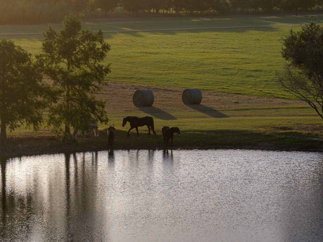 Farm Ranch in Fredericksburg, Texas, United States 3 - 18454345