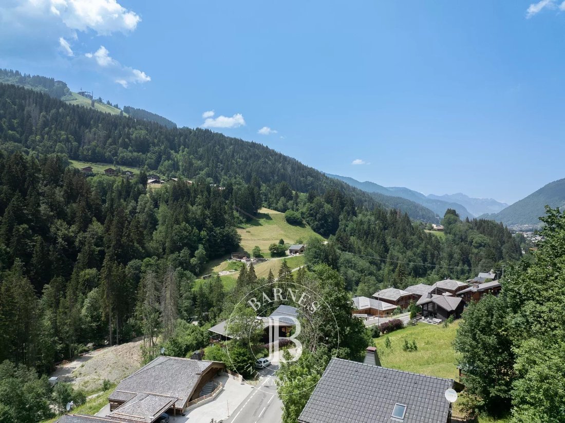 Land in Morzine, Auvergne-Rhône-Alpes, France 5 - 18454417