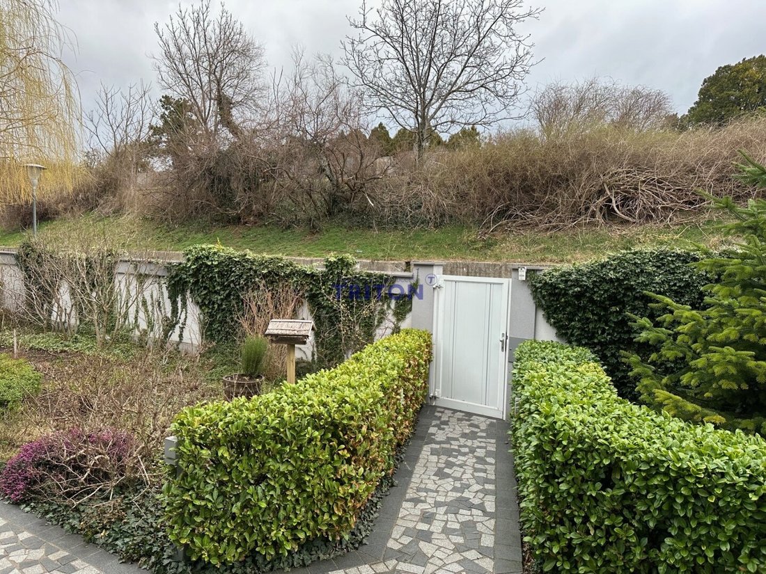 Villa in Guntramsdorf, Lower Austria, Austria 4 - 18454628