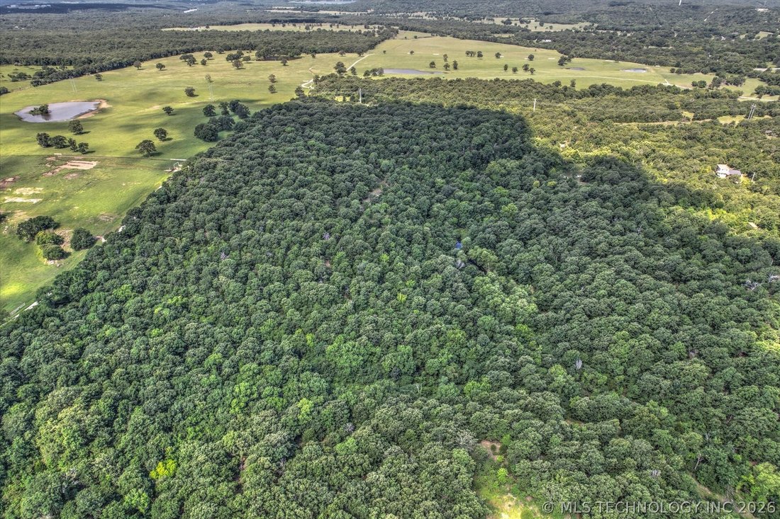 Terrain à Sand Springs, Oklahoma, États-Unis 4 - 18455305